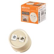 Розетка телефонная RJ11 + компьютерная RJ45 сл. кость «Болонь» TDM