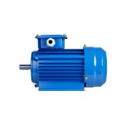 Электродвигатель АИР 63A6 3ф 0,18 кВт 1000 об/мин 1081 TDM