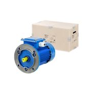 Электродвигатель АИР 100L6 3ф 2,2 кВт 1000 об/мин 3081 TDM